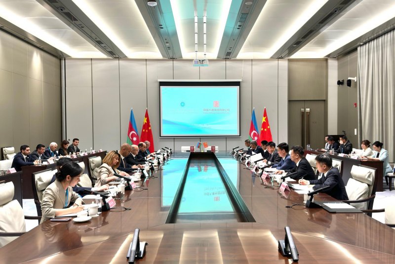 Azerbaijan, China discuss joint green energy projects
