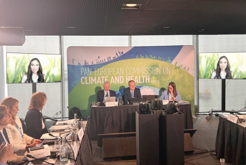 Leyla Aliyeva joins high-level WHO climate and health event via video conference