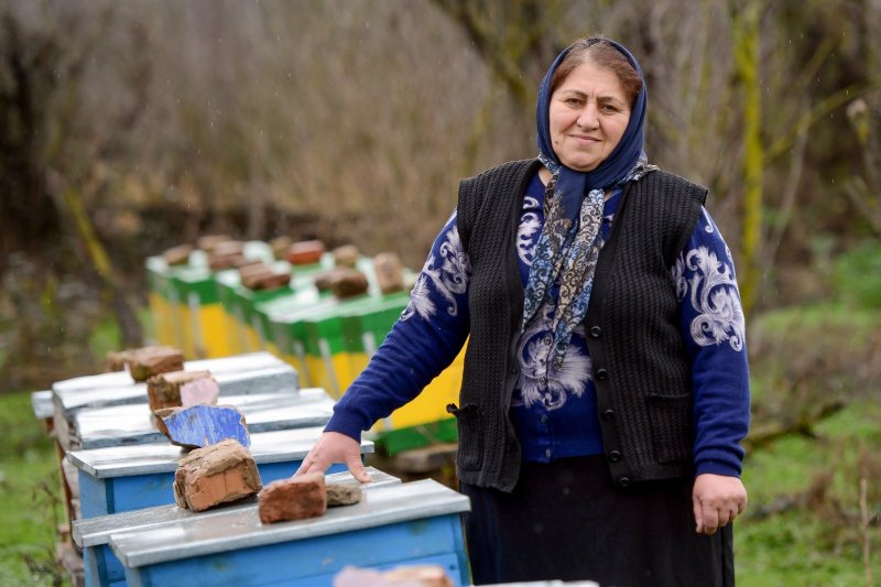 Azerbaijan’s social transformation: Women, families, and the future