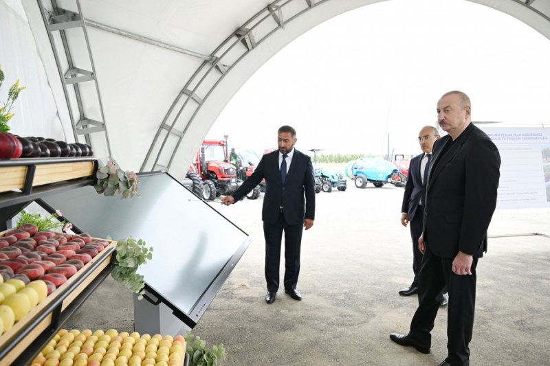 President Ilham Aliyev attended opening of Yevlakh pilot agricultural park