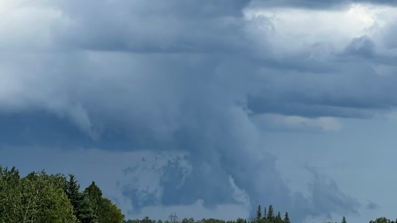 Five tornadoes tear through southeast Minnesota and northern Iowa on wednesday  -VIDEO 