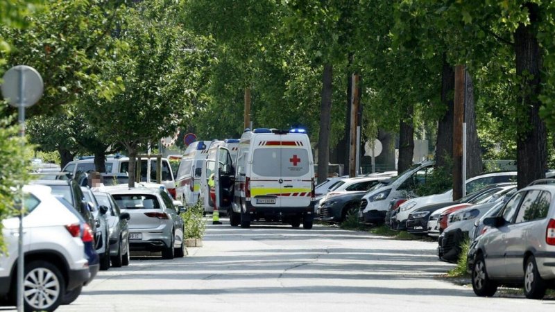 At least ten killed in Austria school shooting -  UPDATED/VIDEO 