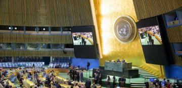 Five nations elected to UN Security Council 
