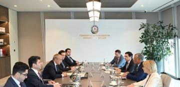 Azerbaijan, Deloitte explore energy transition and innovation cooperation