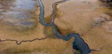Brussels urges EU nations to cut water usage 