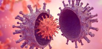 Global spread of new COVID variant NB.1.8.1 sparks concern