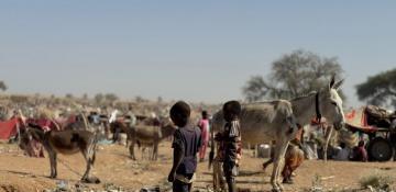 Sudan’s plastic waste problem grows despite control measures, experts warn 