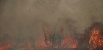 Two major wildfires erupt near Athens