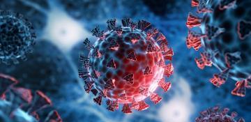 Bangladesh reports 25 new COVID-19 cases, 1 death 