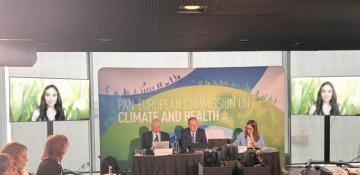 Leyla Aliyeva joins high-level WHO climate and health event via video conference