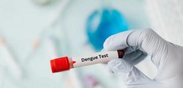 Pakistan’s Sindh confirms first death from dengue for 2025