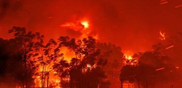 Evacuations near Athens as new wildfire erupts amid Greece heat wave 