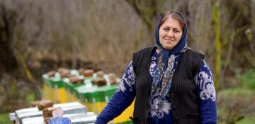 Azerbaijan’s social transformation: Women, families, and the future
