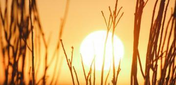 Southern Europe swelters under spreading heatwave 