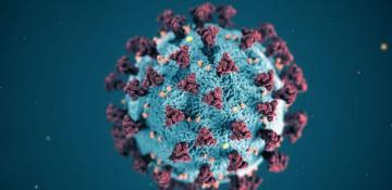 Australian scientists uncover rapid evolution patterns of COVID-19 virus