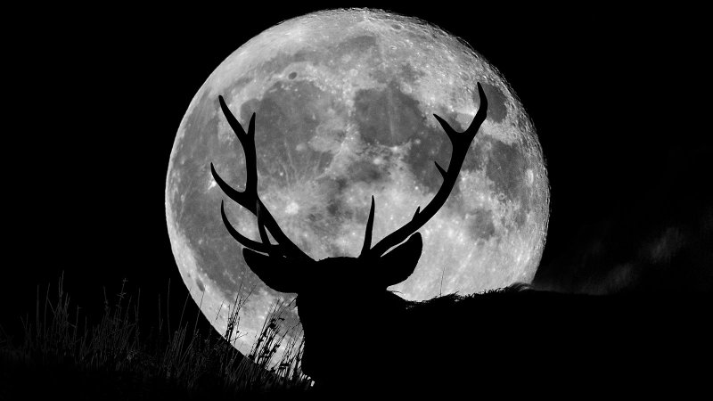 July’s Full Buck Moon to shine brightest today