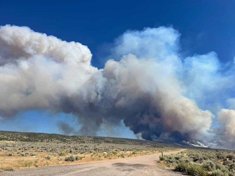 Grand Canyon’s North Rim shuts down as wildfire forces evacuations near Jacob Lake