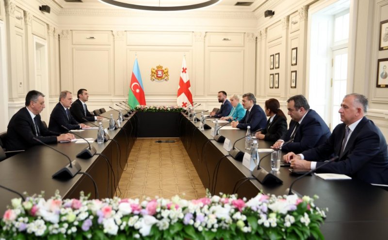 News about - Azerbaijan's Foreign Minister holds meeting with Georgian President 
