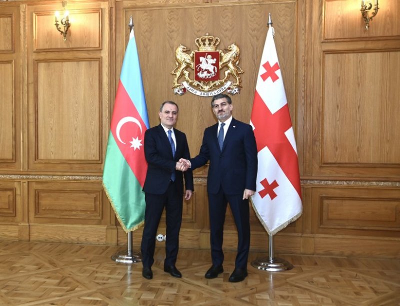 Azerbaijan's Foreign Minister holds meeting with Georgian President 