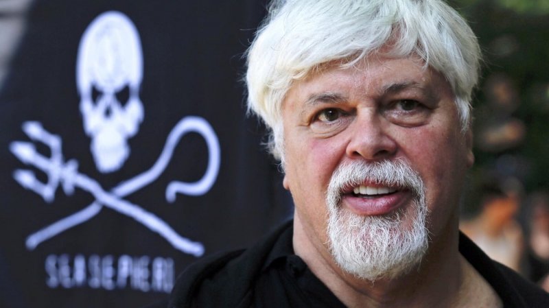 Interpol drops red notice for Sea Shepherd founder Paul Watson