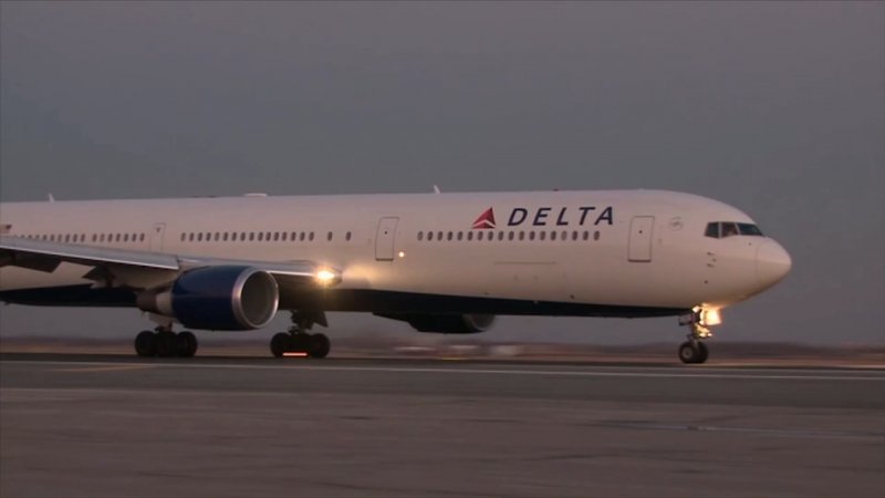 Federal agents storm cockpit, remove delta co-pilot at San Francisco Airport -  VIDEO 