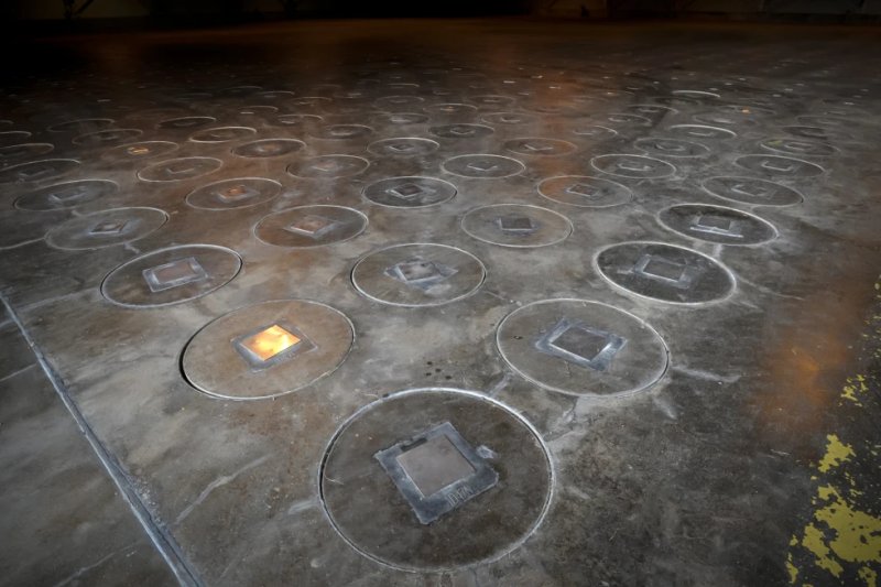 Radioactive wasp nest discovered at former U.S. nuclear bomb site in South Carolina