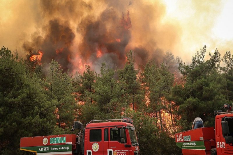 Türkiye launches investigation into forest fires that killed 11 people 