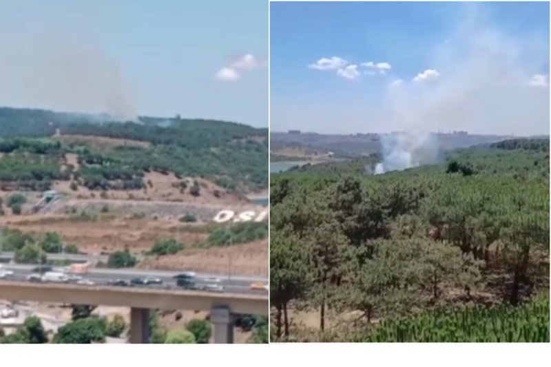 Forest fire breaks out in Istanbul  -VIDEO
