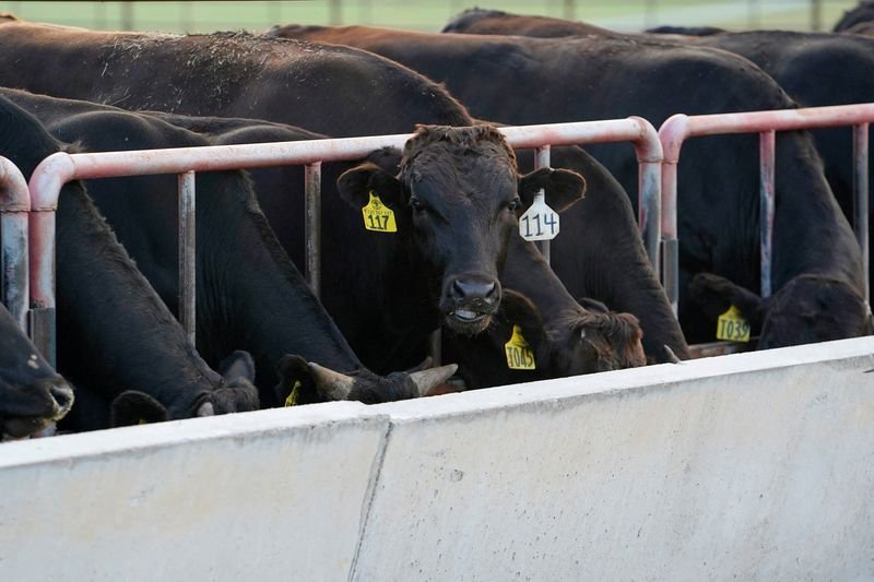 Australia relaxes curbs on US beef that angered Trump 