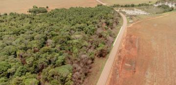 Norway tackles deforestation by implementing EU rules 