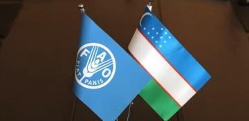 Uzbekistan elected to FAO Council for first time