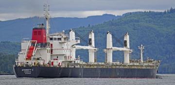 Rescue efforts underway after deadly Houthi attack on cargo ship in Red Sea