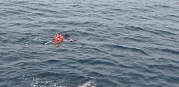 Houthis sink cargo ship in Red Sea, 10 rescued, 3 dead, others kidnapped