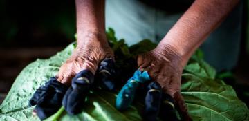 Namibia eyes tobacco, alcohol tax reforms to combat public health crisis 