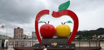 In South Korea’s ‘Apple County,’ farmers fear U.S. trade deal could crush local industry