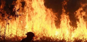 Indonesian police arrest 44 suspected of starting forest fires spreading toxic haze