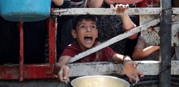 ‘Widespread starvation’ grips Gaza, global hunger monitor warns