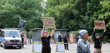 German zoo under fire for killing 12 healthy baboons 