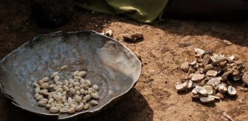 Over a dozen children die from food shortages in Sudan camp, say medics