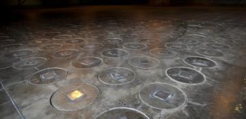 Radioactive wasp nest discovered at former U.S. nuclear bomb site in South Carolina