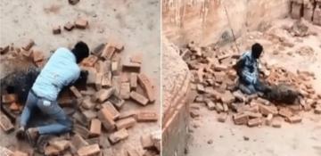 Indian construction worker takes on leopard bare-handed in wild street brawl -  VIDEO 
