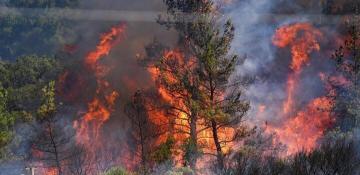 Ten workers die while battling wildfires in Türkiye 