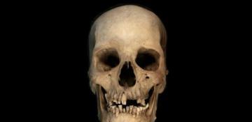 Ancient Egyptian history may be rewritten by DNA bone test 