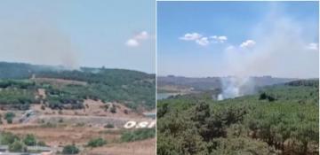 Forest fire breaks out in Istanbul  -VIDEO