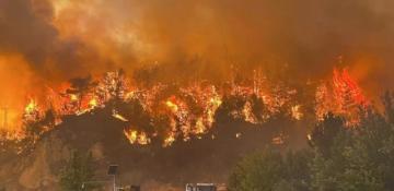Fire spreads to forest in Türkiye