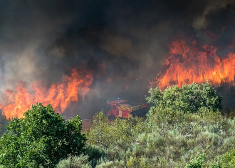 Massive wildfire rages in Central California, injuring three -  VIDEO 