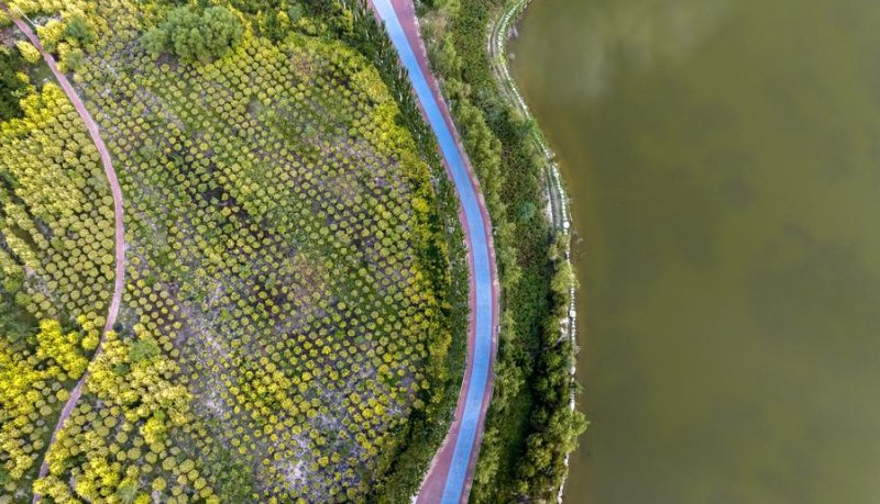 China launches 2025–2030 plan for healthier environments