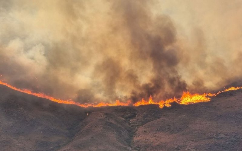 Chios wildfire forces evacuations of people trapped on beaches