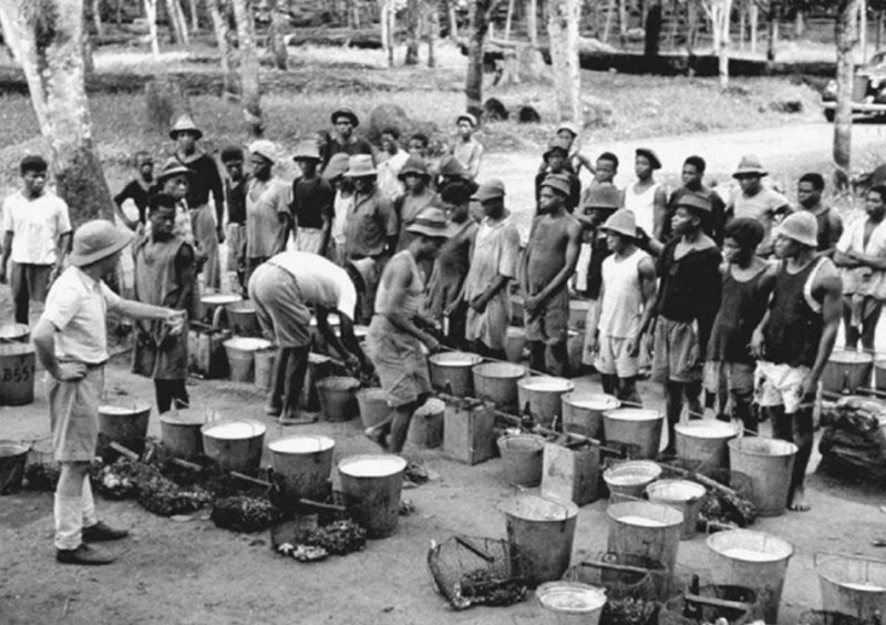 News about -  Macron admits France’s guilt over Cameroon. But what’s next? 