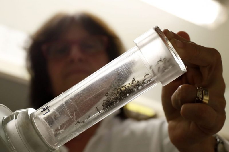 Europe faces record surge in mosquito-borne diseases